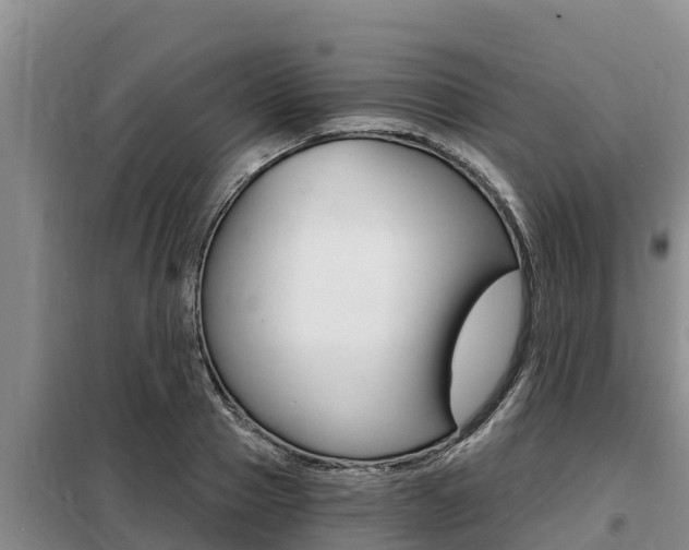X0000099420937200805090747