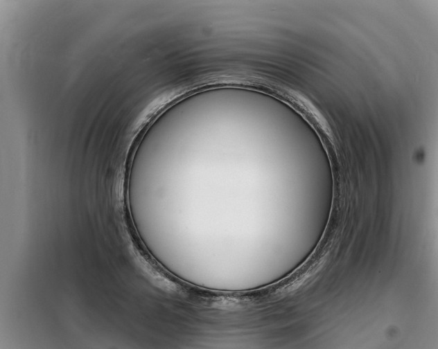 X0000099420938200805090747