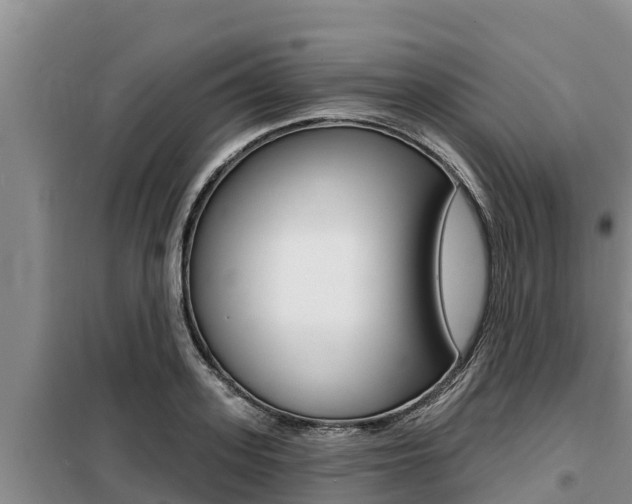 X0000099420939200805090747