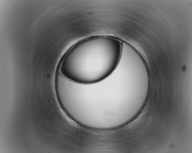 X0000099420942200805090747