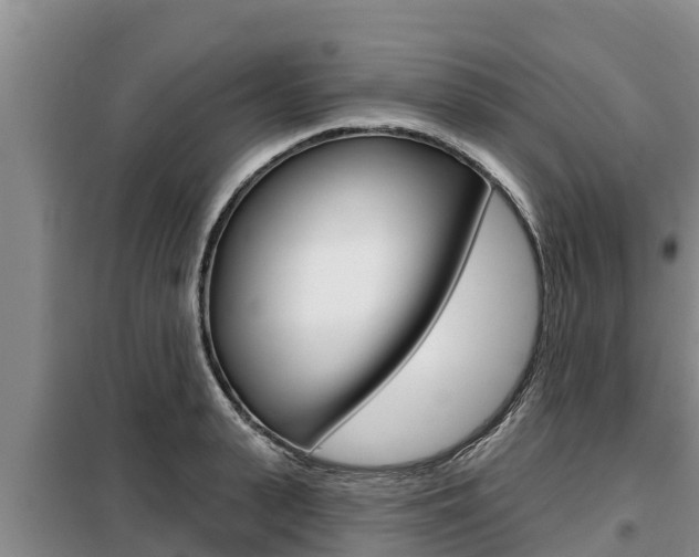 X0000099420943200805090747