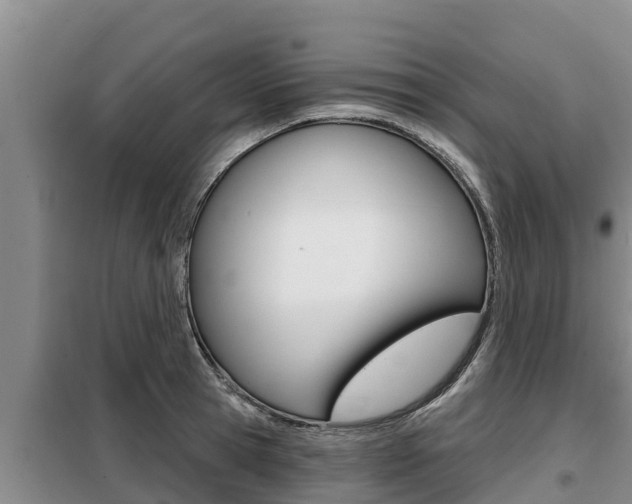 X0000099420945200805090747