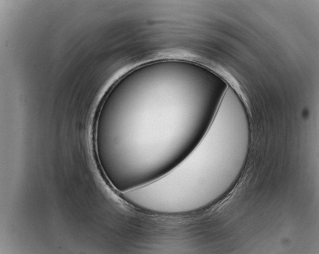 X0000099420947200805090747