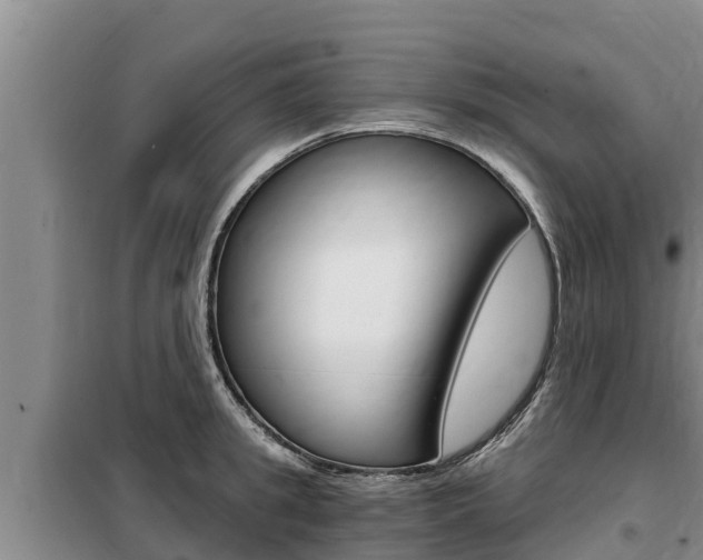 X0000099420949200805090747