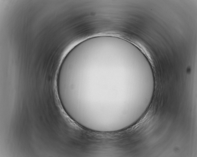 X0000099420952200805090747