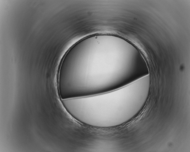 X0000099420959200805090748