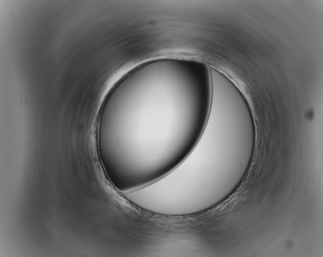 X0000099420960200805090748