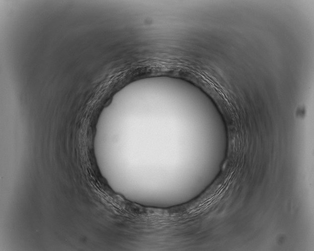 X0000099420961200805090747