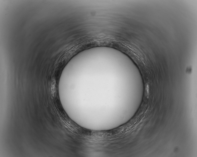 X0000099420963200805090747