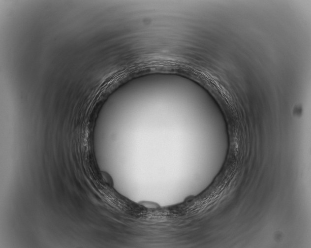 X0000099420964200805090747