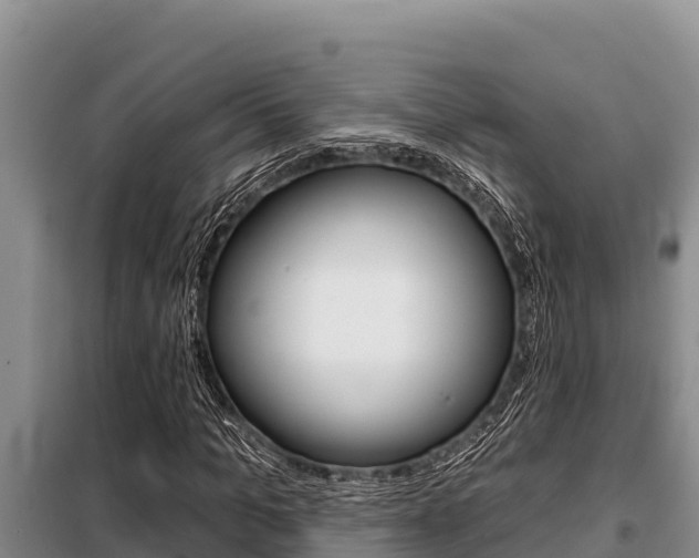 X0000099420965200805090747
