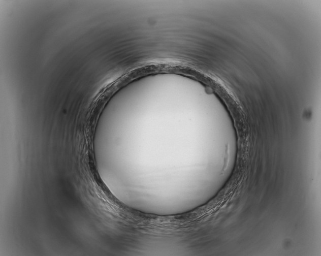 X0000099420967200805090747