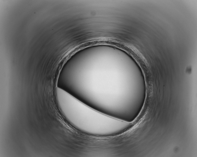 X0000099420969200805090747