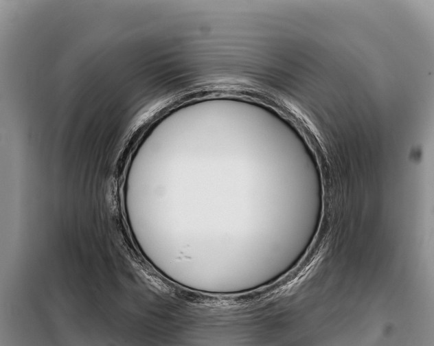 X0000099420970200805090747