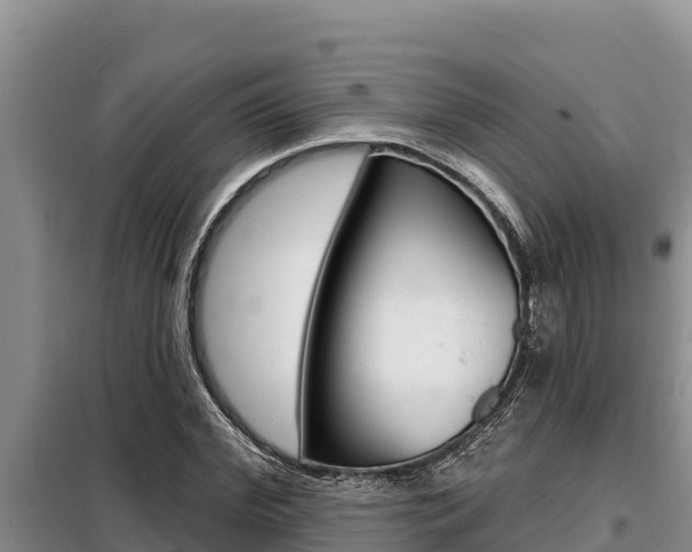 X0000099420972200805090747