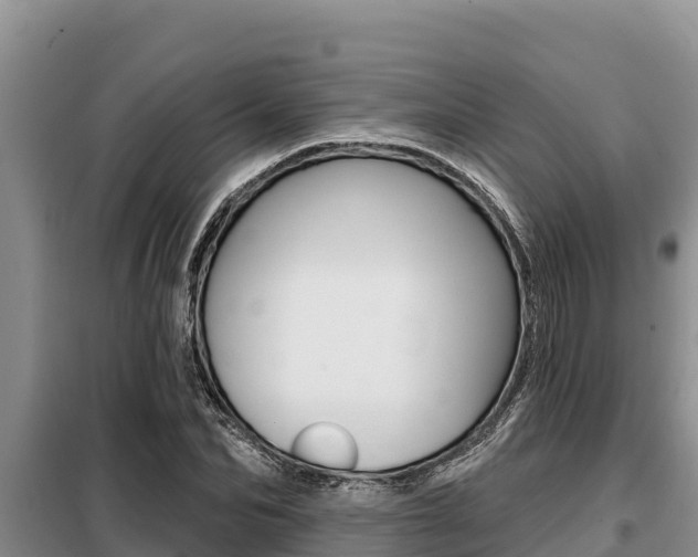 X0000099420974200805090747