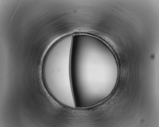 X0000099420976200805090747