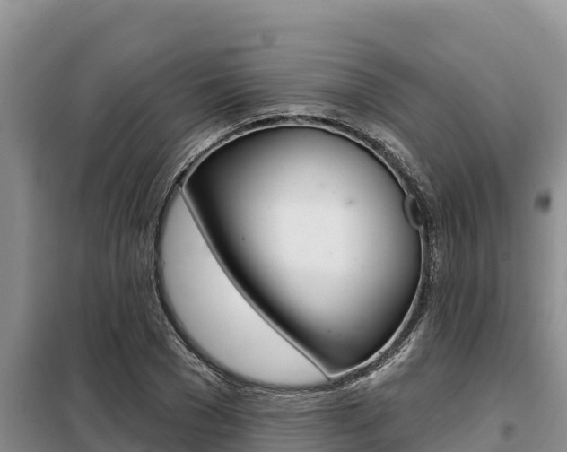 X0000099420977200805090747