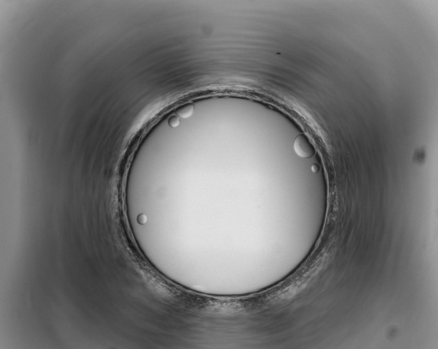 X0000099420978200805090747
