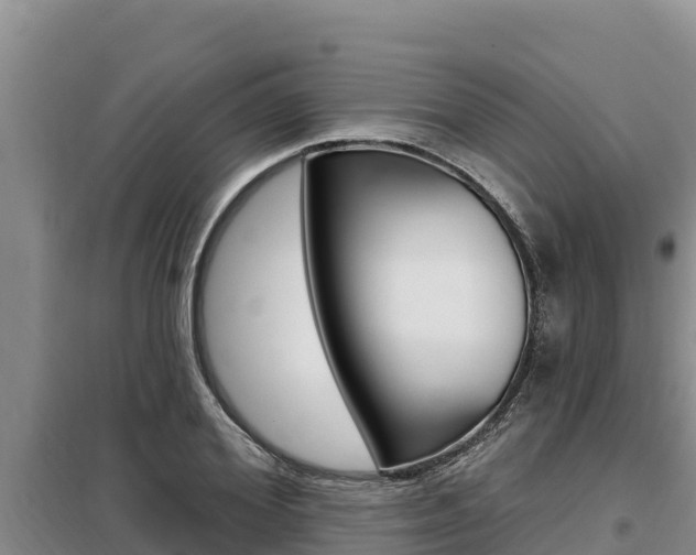 X0000099420980200805090747