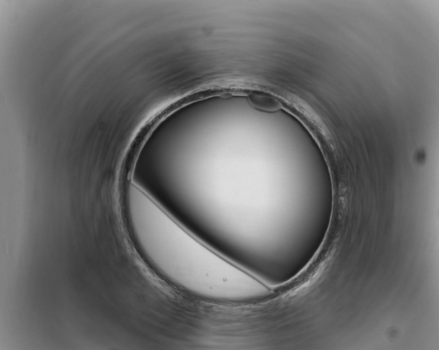 X0000099420981200805090747
