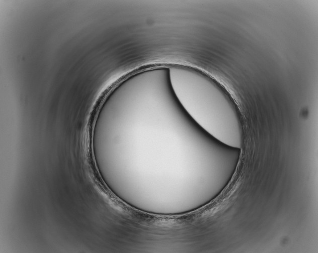 X0000099420982200805090747