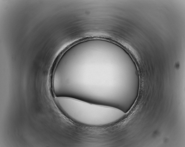 X0000099420983200805090747