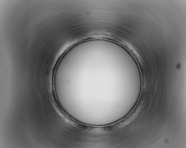X0000099420986200805090747