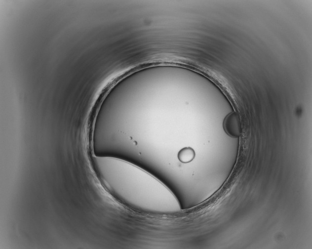 X0000099420987200805090747