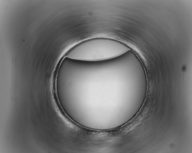 X0000099420991200805090746
