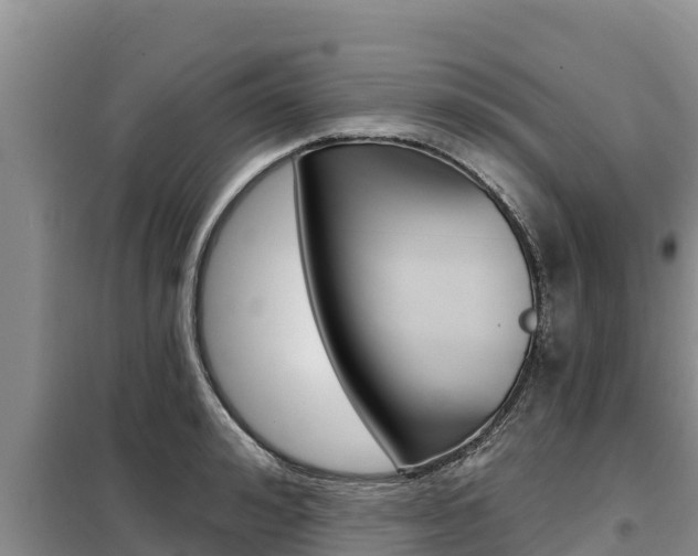 X0000099420992200805090746