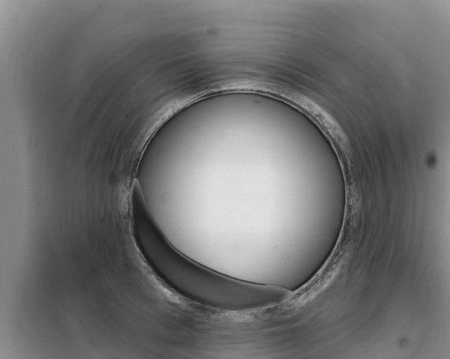 X0000099420993200805090746