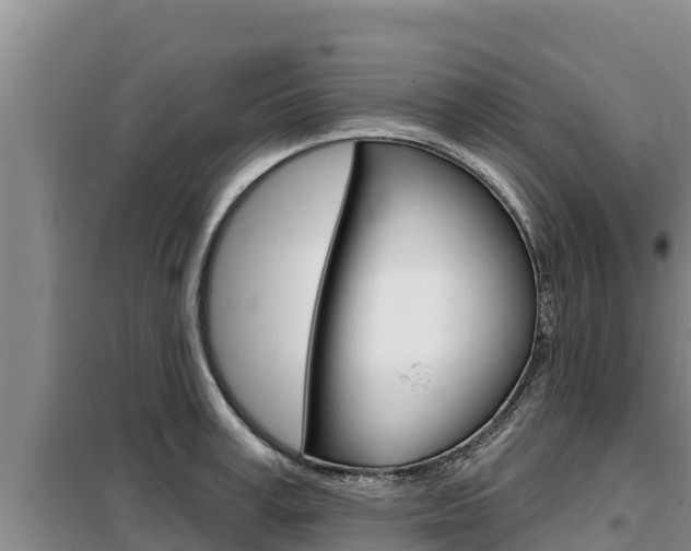 X0000099420995200805090746