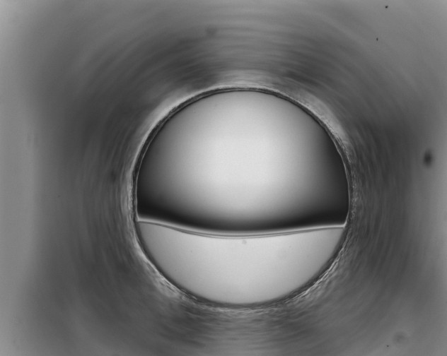 X0000099420996200805090746