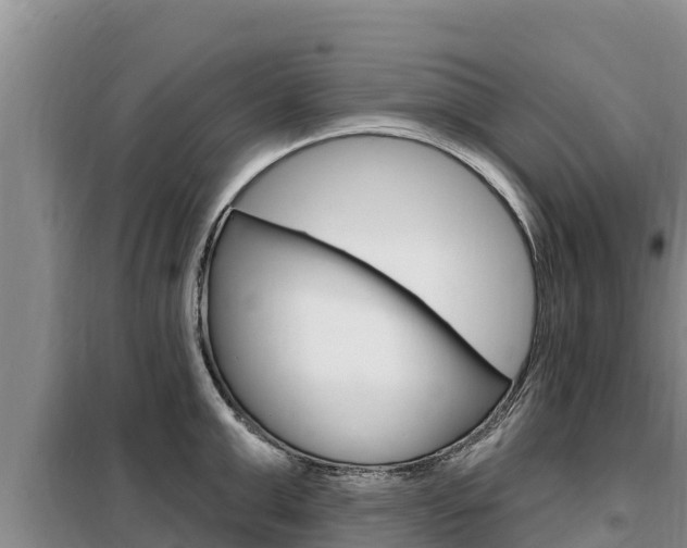 X0000099420999200805090746