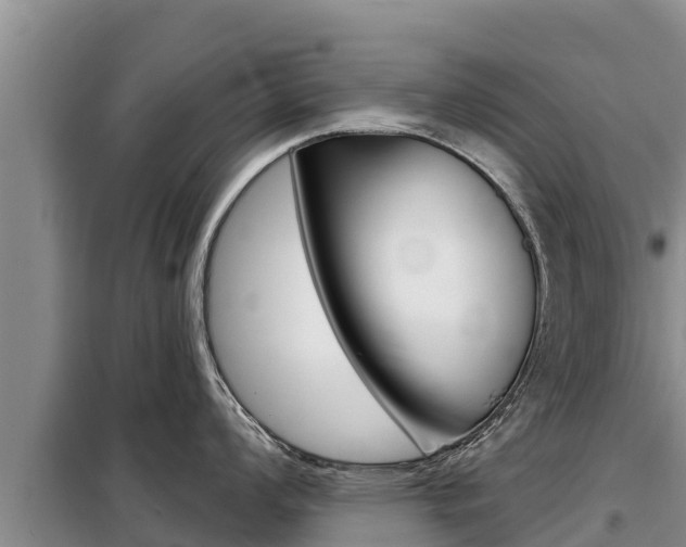 X0000099421008200805090746