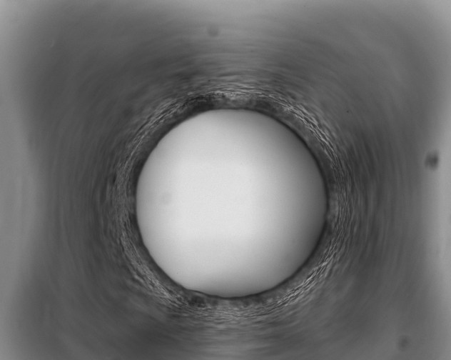 X0000099421009200805090746