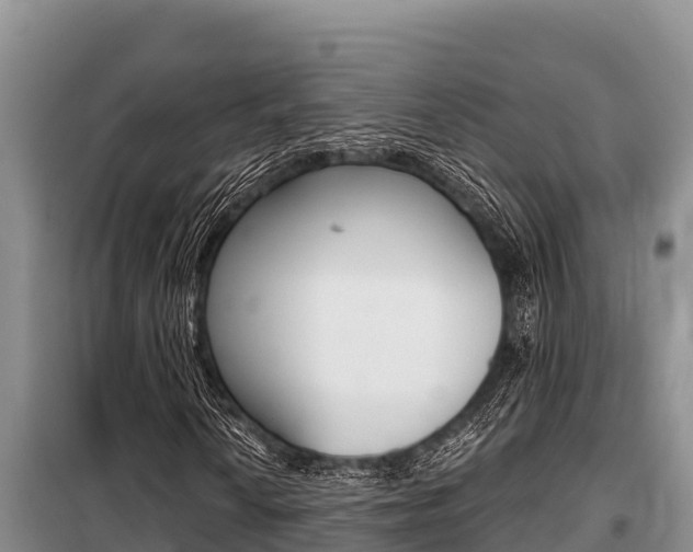 X0000099421010200805090746
