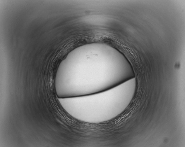 X0000099421011200805090746