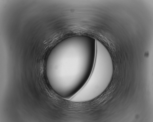 X0000099421012200805090746