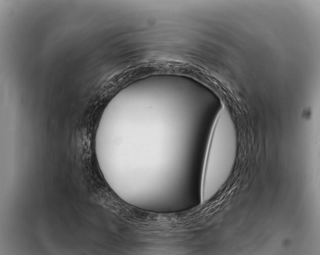 X0000099421013200805090746