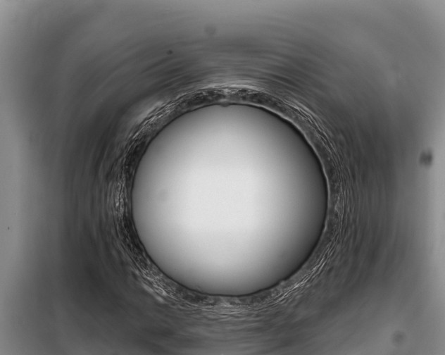 X0000099421014200805090746