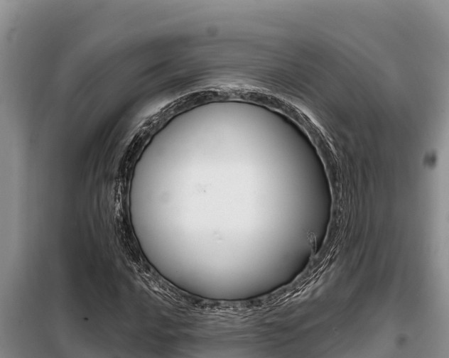 X0000099421016200805090746