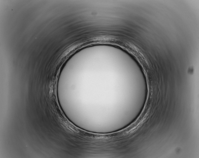 X0000099421017200805090746
