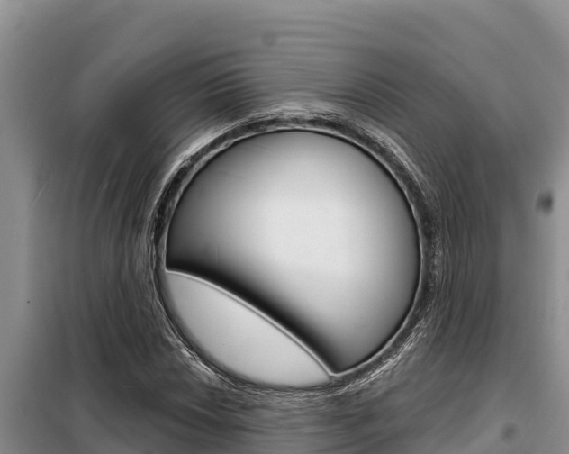 X0000099421018200805090746