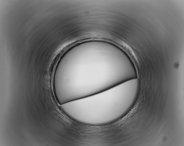 X0000099421019200805090746