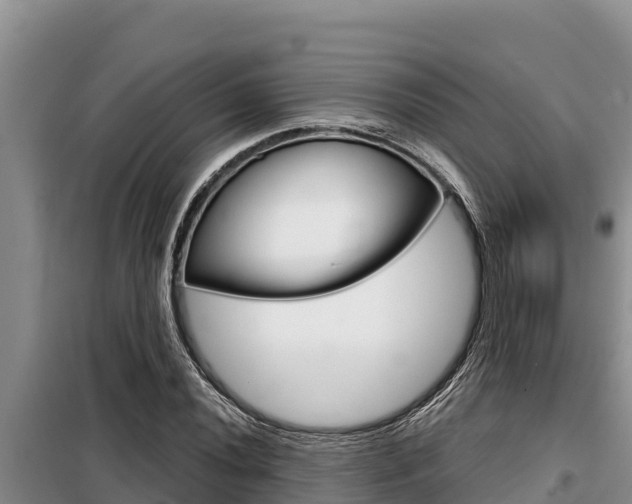X0000099421020200805090746