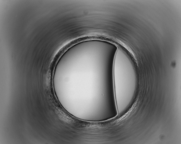 X0000099421021200805090746