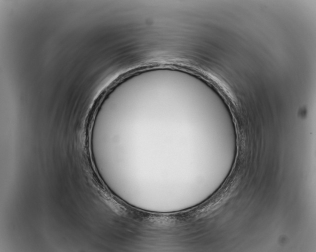 X0000099421023200805090746
