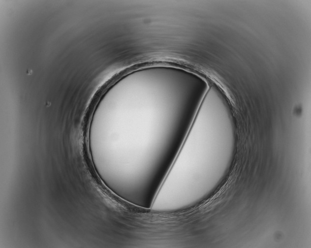 X0000099421024200805090746